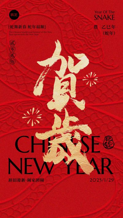 春节蛇年贺岁立体蛇纹祝福海报