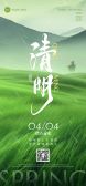 模板缩略图