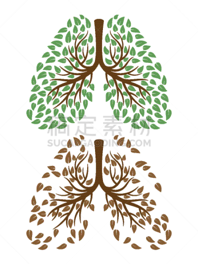 人,概念,叶子,人类肺脏,生物学,活力,健康保健,环境,结核杆菌,植物