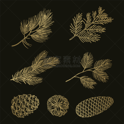 杉树,黄金,枝,松果,乱画,云杉,布置,复古,绘制,剪影