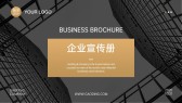模板缩略图