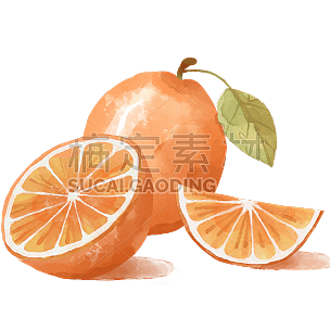 水果插画-橘子