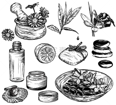 自然美,商品,草图,有机食品,健康保健,熏衣草,华丽的,模板,芳香疗法,蜂蜜