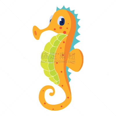 海马,分离着色,可爱的,鸡尾酒,黄色,自然,动物园,野生动物,图像,海洋