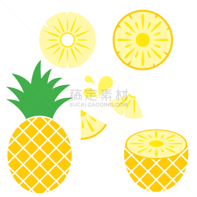 绘画插图,矢量,菠萝,动机,白色,横截面,部分,背景分离,热带气候,果汁