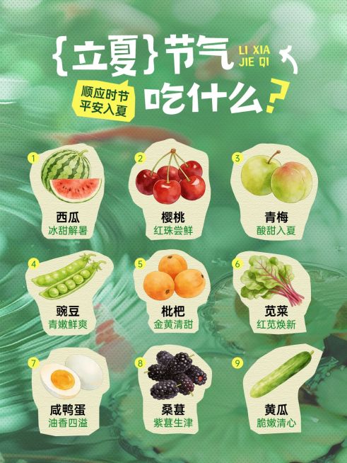立夏节气科普通用趣味感小红书配图预览效果