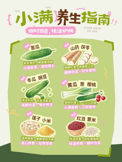 小满节气科普习俗通用趣味感小红书封面预览效果