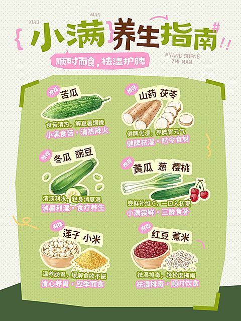 小满节气科普习俗通用趣味感小红书封面
