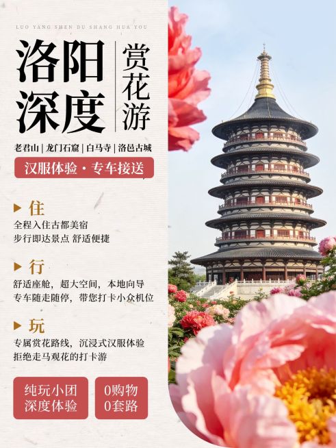 旅游出行洛阳行程推荐小红书封面预览效果