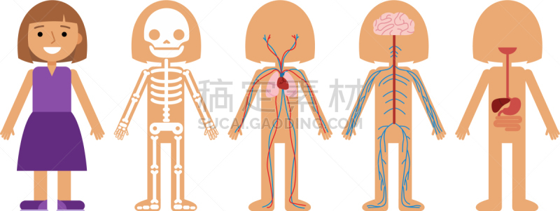 女孩,可爱的,健康保健,人,图像,女人,自然美,设计