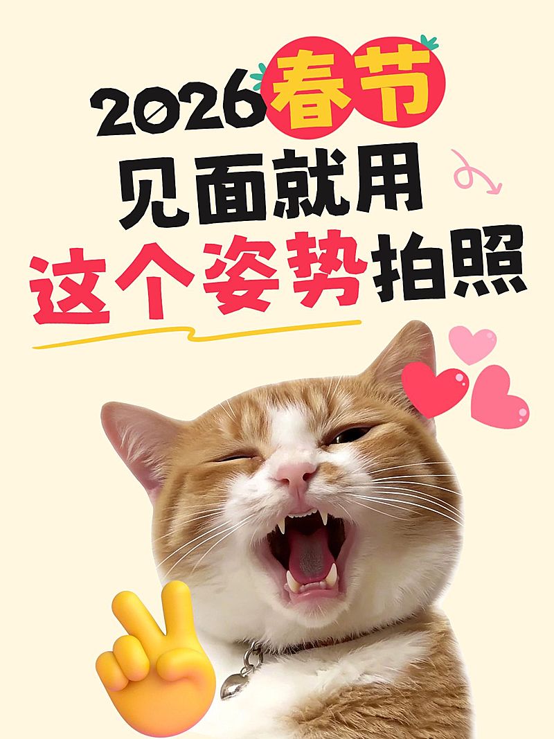 春节晒照姿势指南通用小红书封面