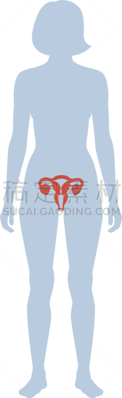女性生殖系统,生物学,商务,健康保健,门诊部,模板,女人,品牌名称,儿童