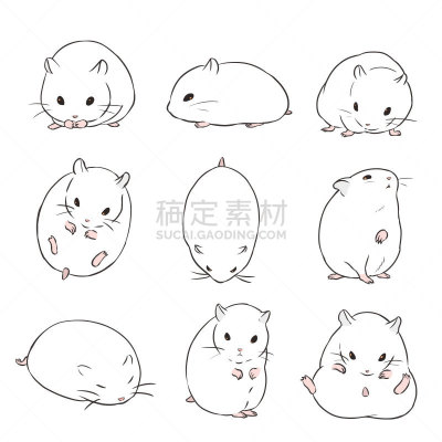 仓鼠,珍珠白,可爱的,宠物,自然,短尾侏儒仓鼠,图像,哺乳纲,小的,动物
