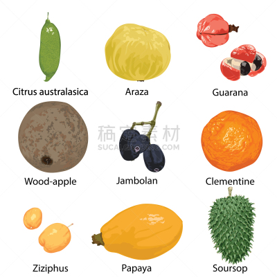 白色背景,水果,分离着色,白色,自然,瓜拉那,食品,图像,木瓜,柑橘属