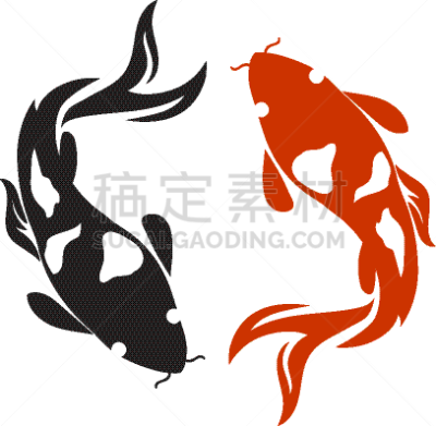 锦鲤,动物,鲤鱼,白色背景,式样,鱼类,插画,黑色,传统