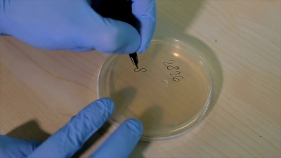 在微生物实验室中准备抗菌图文件