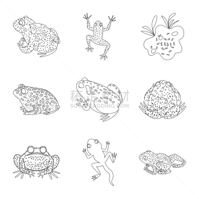 动物,两栖纲,分离着色,图标集,一个物体,生物学,有毒物质,灰色,野生动物,环境