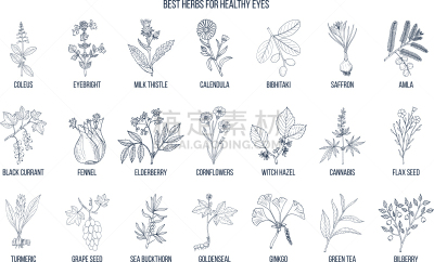 健康保健,草药,动物眼睛,生物学,藏红花,药,环境,Eyebright,蓝莓,Corn Marigold