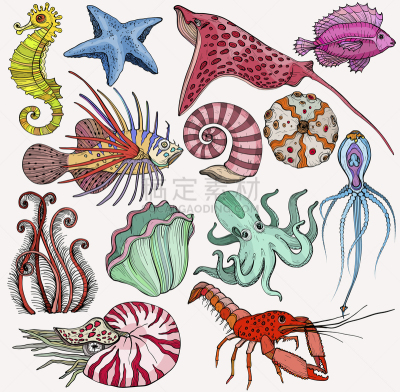Set with marine life organisms.