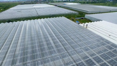 从空气中看到的几个商业温室。