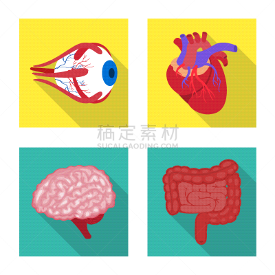 健康保健,人,品牌名称,生物学,视力,角膜,植物群,收集,设计,思考