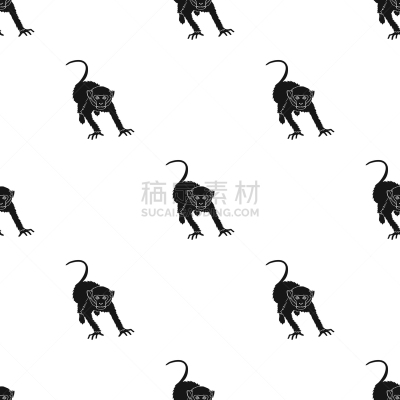 猴子,热带雨林,哺乳纲,野外动物,分离着色,自然,动物园,图像,灵长目,狨猴