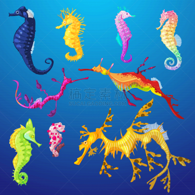 海洋,海马,性格,卡通,分离着色,鸡尾酒,华丽的,自然,渔业,收集