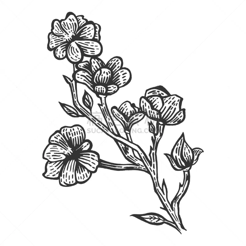 草图 玉兰类 雕刻图像 木版画 植物 黑白图片 花 树 复古图片素材下载 稿定素材 草图 玉兰类 雕刻图像 木版画 植物 黑白图片 花 树 复古图片素材下载 稿定素材