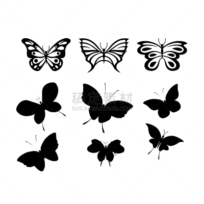 矢量,绘画插图,白色,蝴蝶,分离着色,自然,华丽的,黄色,请柬,精工制品
