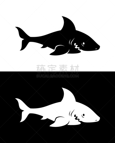 鲨鱼,分离着色,白色,自然,动物园,海洋生命,野生动物,简单,剪影