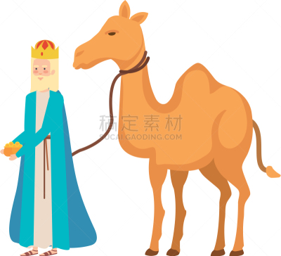 骆驼,智慧,性格,动物,沙漠,Balthazaar,景象,东方三贤士