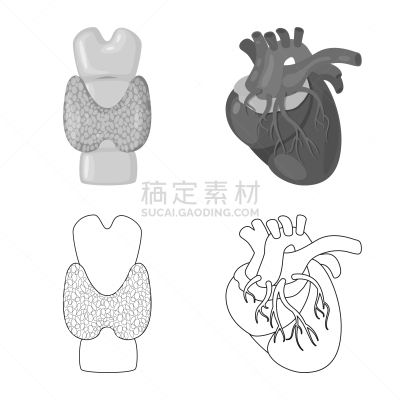 生物学,科学,图标集,背的，脊的,分离着色,健康保健,人,身体受伤,设计,收集