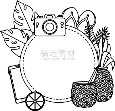 夏天,圆形,相机,菠萝,边框,几何形状,凉鞋,加利福尼亚,植物群,植物