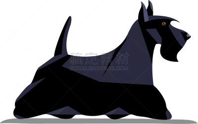 梗犬,图像,威士忌,极简构图,分离着色,可爱的,白色,宠物,纯种犬,服从