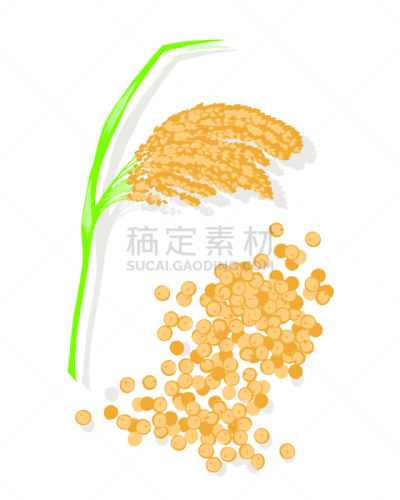 食品,植物,种子,农业,背景分离,复古风格,成分,古典式,手,印加人文明