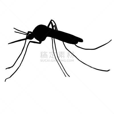 蚊子,高雅,昆虫,品牌名称,矢量,黑色,嗡嗡响的,标签,漏字板,睡觉