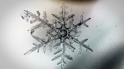 花边雪花在显微镜下的出现