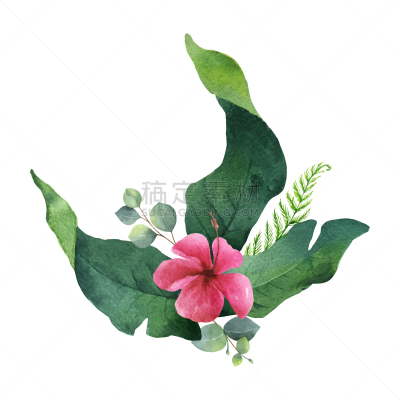 鸡尾酒,叶子,花束,水彩画,植物,华丽的,请柬,周年纪念,灵感,排列