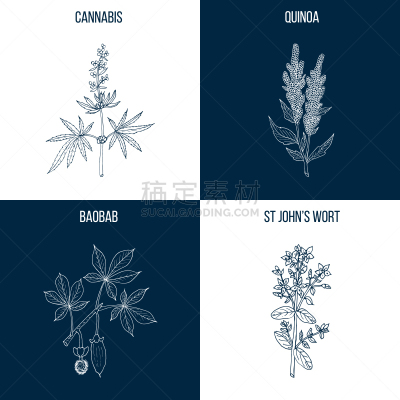 食品,草药,动物手,四个物体,有疣的,健康保健,植物学,自然,绘制,布置