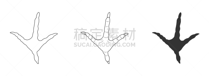 计算机图标,爪子,公鸡,脚印,动物主题,背景分离,野生动物,母鸡,动物,鸟类