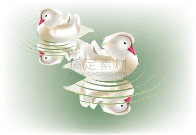 鸳鸯,自然美,野生动物,橙色,英国,池塘,动物,鸟类,中国,湖