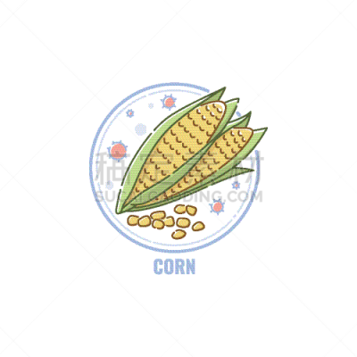 直的,种子,图标,平坦的,老玉米,圆形,农业,蔬菜,素食,谷物