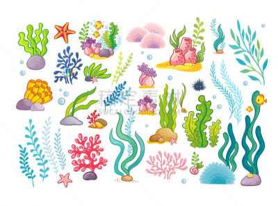 鱼类,海洋,矢量,海草,海洋生命,组物体,巨大的,水壶,可爱的,深的