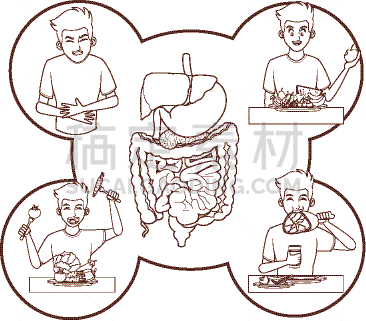 青年人,生物学,蔬菜,健康保健,莴苣,食品,樱桃,葡萄,图表