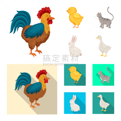 品牌名称,厨房,可爱的,农业,纯种犬,复活节,食品,加拿大,动物