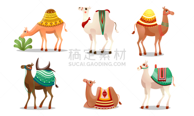 可爱的,绘画插图,矢量,幽默,多色的,骆驼,热,多样,野生动物,哺乳纲