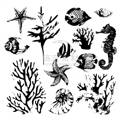 海洋,脉搏图,现代,海星,船,凌乱,贝壳,礁石,珊瑚,布置