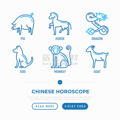 十二生肖,狗,细的,猪,山羊,绘画插图,计算机图标,公鸡,马,矢量