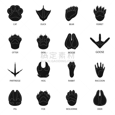 动物,图标集,动物足,脚印,脉搏图,野生动物,狗,猪,蹄,设计