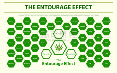 水平画幅,图像特效,信息图表,脂肪细胞,植物,香熏油,心血管系统,人类消化系统,痛苦